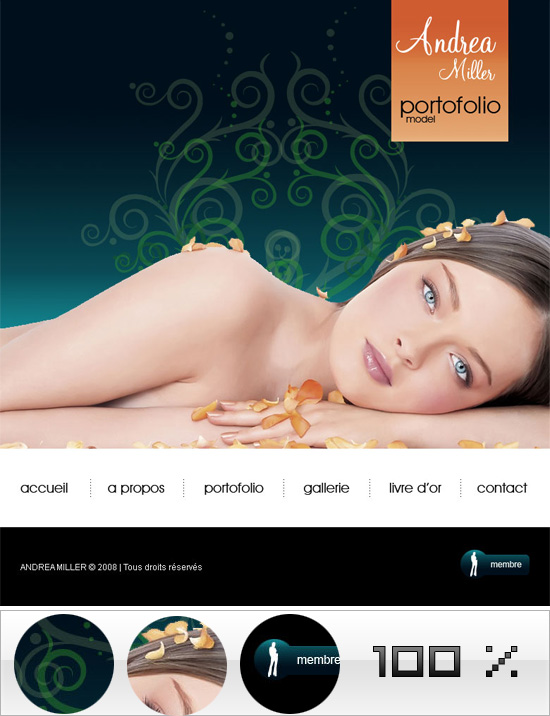 capture du kit graphique