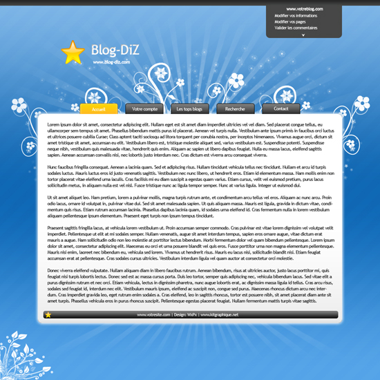 Apercu du kit Graphique Blog-DiZ