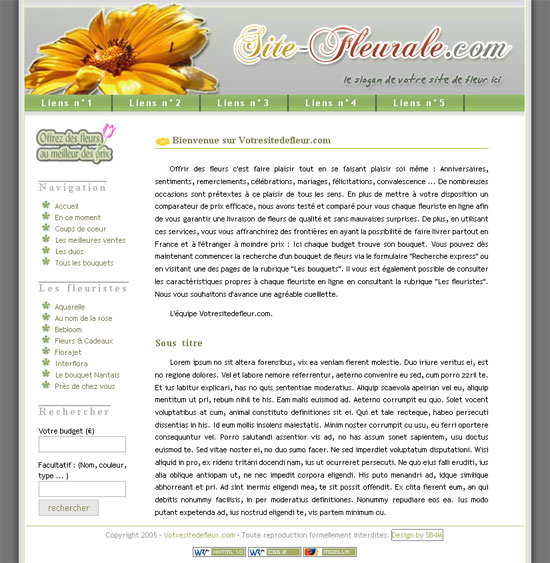 capture du kit graphique
