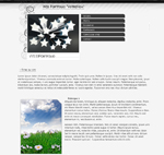 Télécharger le Kit Graphique WebPortfolio
