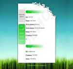 Télécharger le Kit Graphique CV vert