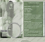 Télécharger le Kit Graphique Weird Angel