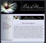 Télécharger le Kit Graphique BlackFlower